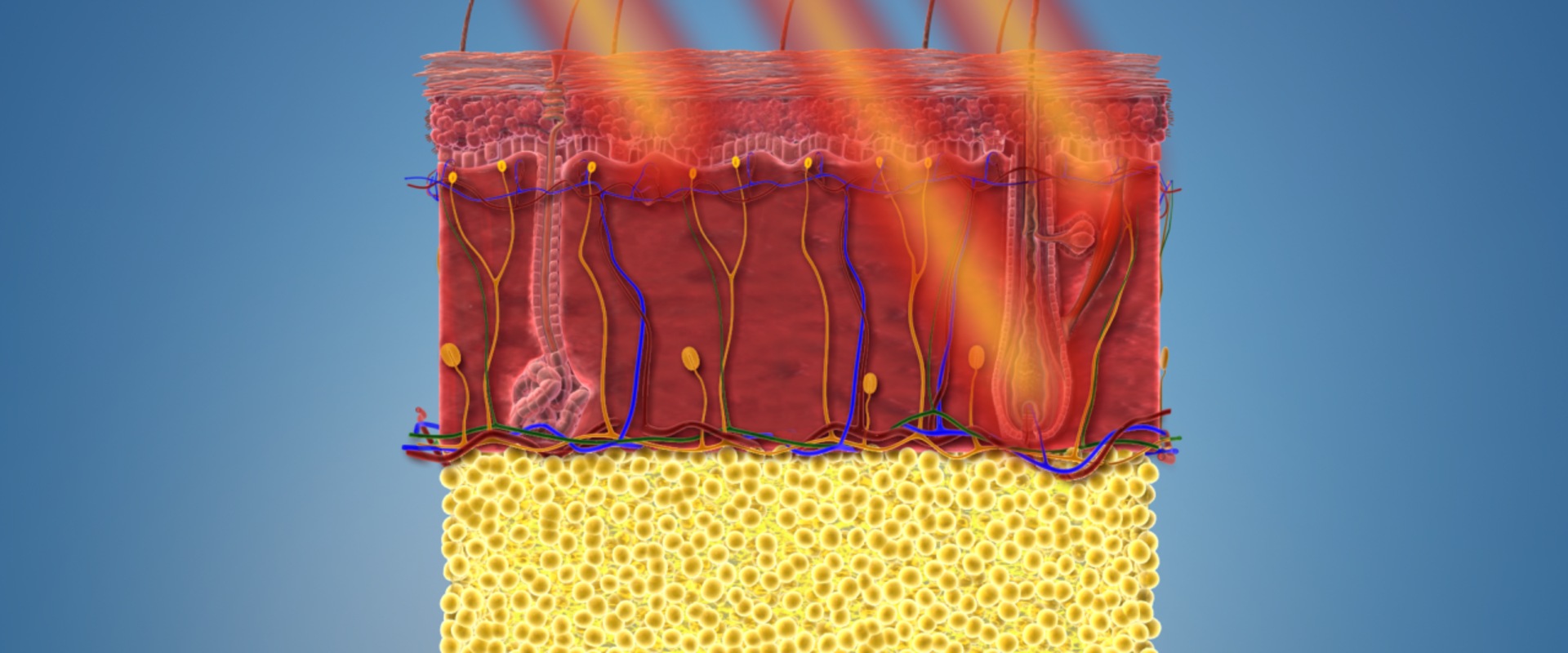 Everything You Need to Know About Laser Hair Removal